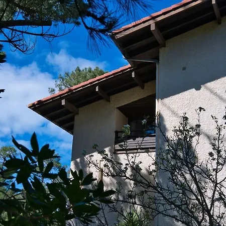 T3 - L'atlantic Dream - 500m De La Appartement