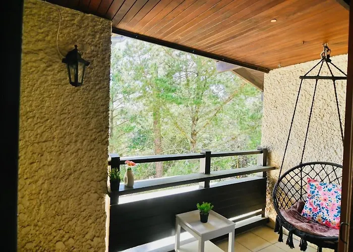 Appartement T3 - L'atlantic Dream - 500m De La *